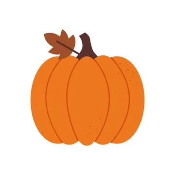Bright Orange Pumpkin Sits on a Plain Background During Autumn Season Stock Illustration