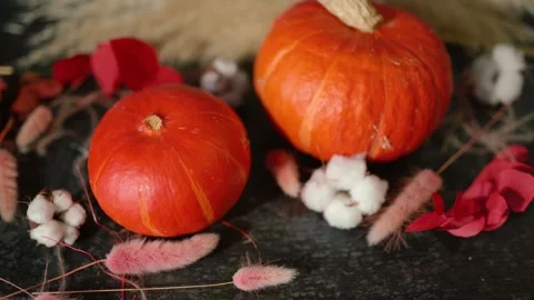 Bright orange pumpkin surrounded by autumn decorations, Halloween Stock Footage 346707863