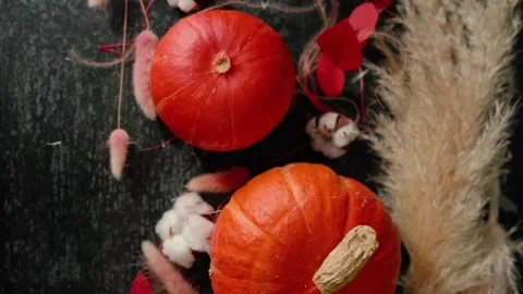 Bright orange pumpkin surrounded by autumn decorations, Halloween Stock Footage 346707866