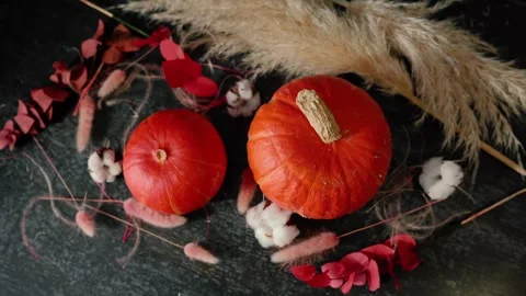 Bright orange pumpkin surrounded by autumn decorations, Halloween Stock Footage 346707912