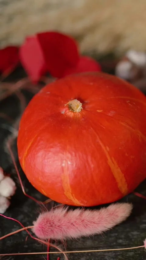Bright orange pumpkin surrounded by autumn decorations, Halloween Stock Footage 346759697