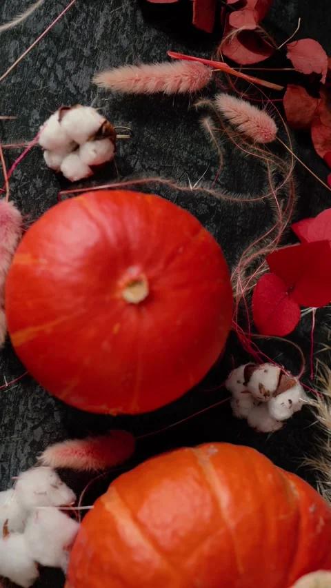 Bright orange pumpkin surrounded by autumn decorations, Halloween Stock Footage 346759707