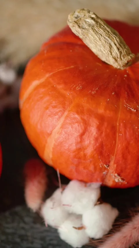 Bright orange pumpkin surrounded by autumn decorations, Halloween Stock Footage 346759757