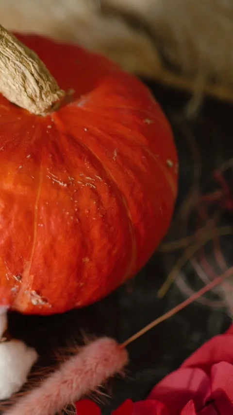 Bright orange pumpkin surrounded by autumn decorations, Halloween Stock Footage 346759771