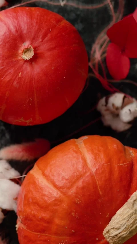 Bright orange pumpkin surrounded by autumn decorations, Halloween Stock Footage 346759791