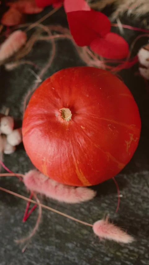 Bright orange pumpkin surrounded by autumn decorations, Halloween Stock Footage 346759875
