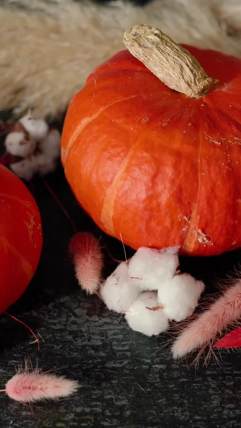 Bright orange pumpkin surrounded by autumn decorations, Halloween Stock Footage 346759926