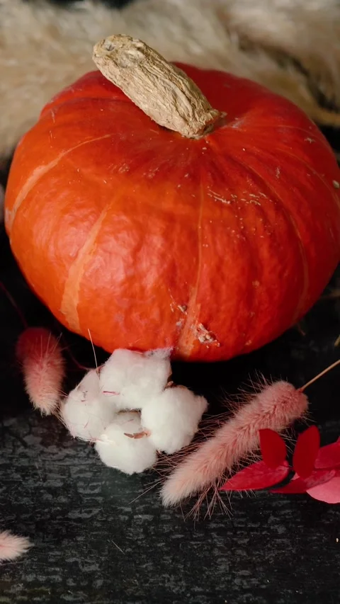 Bright orange pumpkin surrounded by autumn decorations, Halloween Stock Footage 346759961