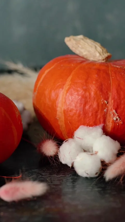 Bright orange pumpkin surrounded by autumn decorations, Halloween Stock Footage 346759988