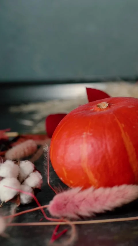 Bright orange pumpkin surrounded by autumn decorations, Halloween Stock Footage 346759990