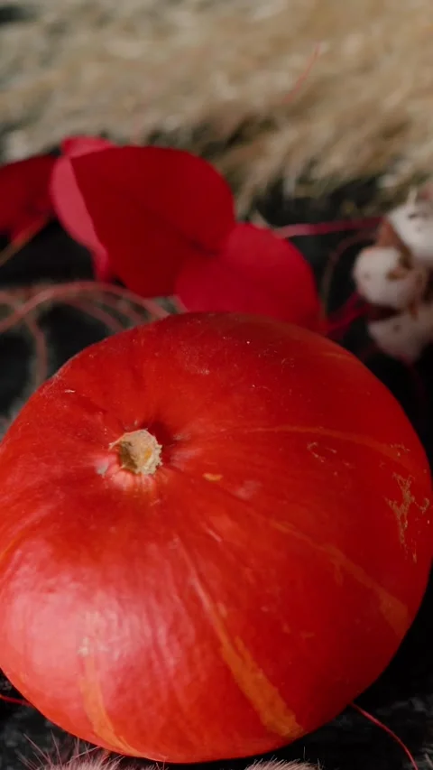 Bright orange pumpkin surrounded by autumn decorations, Halloween Stock Footage 346760007