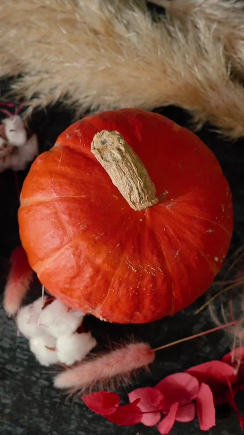 Bright orange pumpkin surrounded by autumn decorations, Halloween Stock Footage 346760012