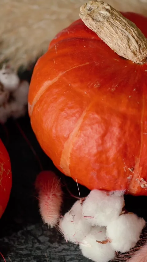 Bright orange pumpkin surrounded by autumn decorations, Halloween Stock Footage 346760019