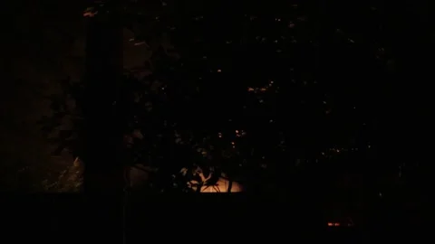 Bright orange smoke from fire through trees and fence Stock Footage 152949943