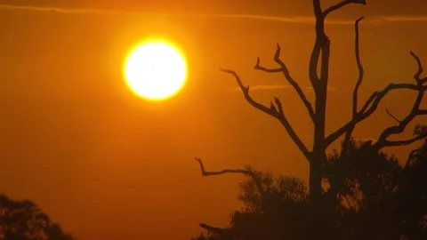 Bright orange sunset Stock Footage 71336858