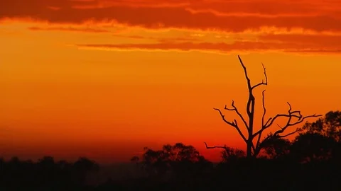 Bright orange sunset Stock Footage 72118913