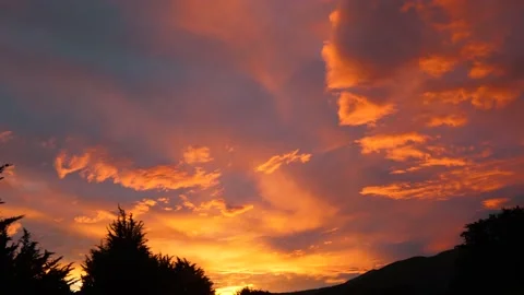 Bright orange sunset sky with dark trees and pond Stock Footage 140611081