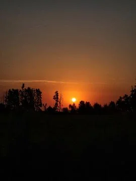 Bright orange sunset sky over evening forest and field silhouette Foto stock