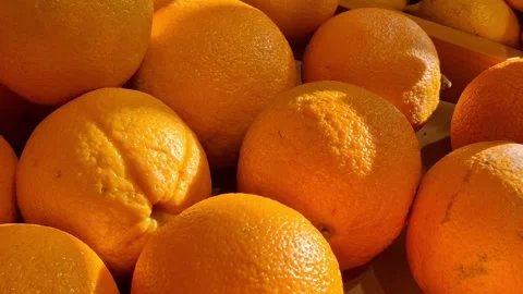Bright oranges Stock Footage 341676562