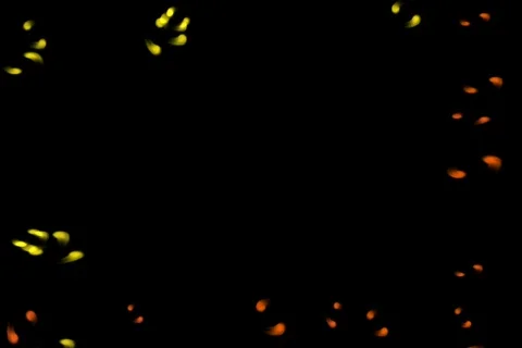 Bright particles frame - digital animation Stock Footage 124898