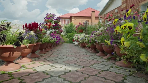 Bright path of decorative flowers Video stock 301429357