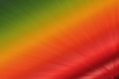 Bright pattern with colorful and blurred lines 스톡 일러스트