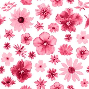 Bright pattern of flowers, as backdrop or texture. Color of the year 2023. To Stock Photos