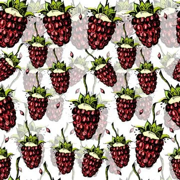 Bright pattern with juicy raspberries 스톡 일러스트