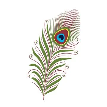 Bright peacock feather decorated with curls and circles. 스톡 일러스트