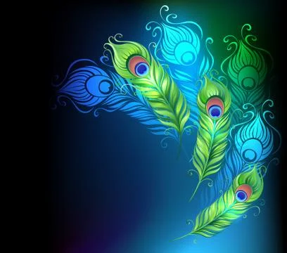 Bright peacock feathers Stock Illustration