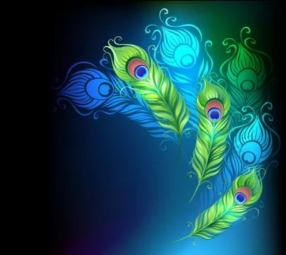 Bright Peacock Feathers Stock Illustration