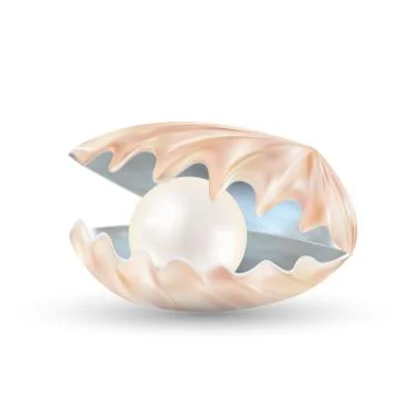 Bright pearl in a opened sea shell Stock Illustration