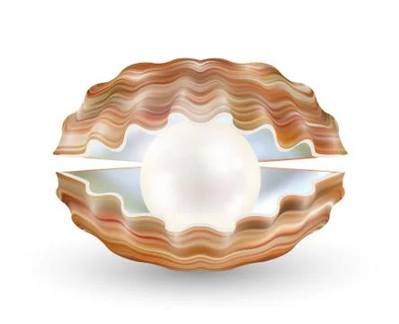 Bright pearl in a opened sea shell Stock Illustration