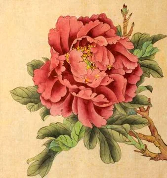 Bright peony flower Stock Illustration