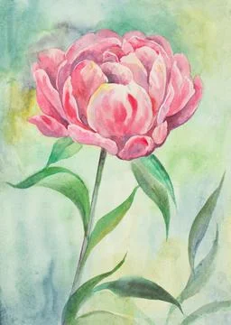 Bright peony flower Stock Illustration