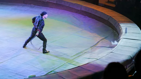 Bright performance in the circus Stock Footage 139074082