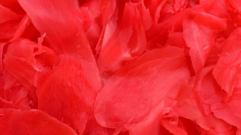 Bright pickled ginger for sushi rolls, rotation in circle. pickled ginger Stock Footage 277339268