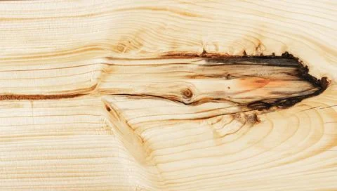 Bright pine board texture with knots and crack Stock Photos