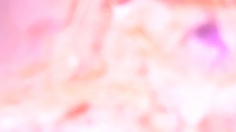 Bright pink feather falling in slow motion Stock Footage 80925665