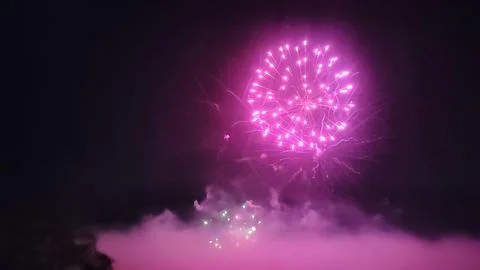 Bright pink firework exploding in the night sky Stock Photos