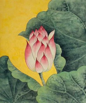 Bright pink lotus Stock Illustration