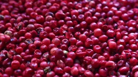 Bright pink peppercorns falling down close up Stock Footage 263214870
