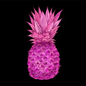 Bright pink pineapple on black bg, full color Stock Illustration