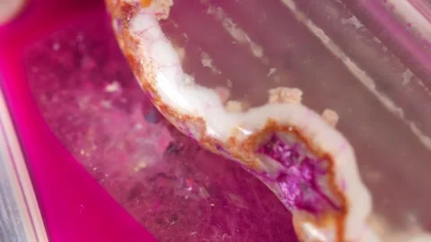 Bright pink rock with unique patterns in a close-up view Stock Footage 328589326