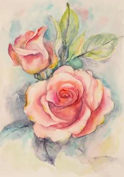 Bright pink rose Stock Illustration
