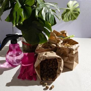 A bright pink spray bottle is placed on a table beside a thriving plant Stock Photos