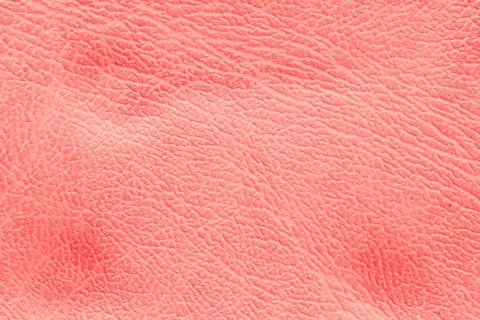 Bright Pink Textured Leatherette Surface Background Stock Photos