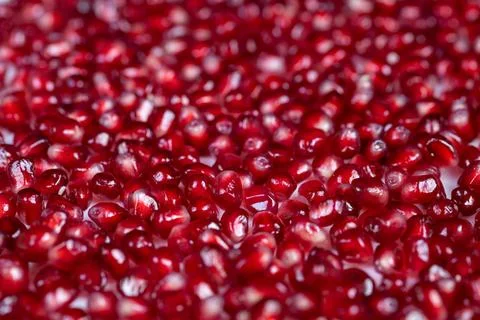 Bright pomegranate arils highlighted with artistic shallow focus effects. Vivid Stock Photos