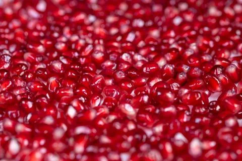 Bright pomegranate seeds dense abstract pattern repeating glossy arils fill.. Stock Photos