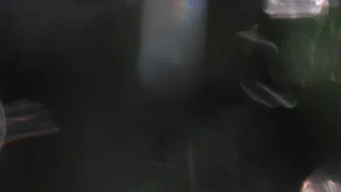 Bright prism light leaks in the dark 動画素材 318593241